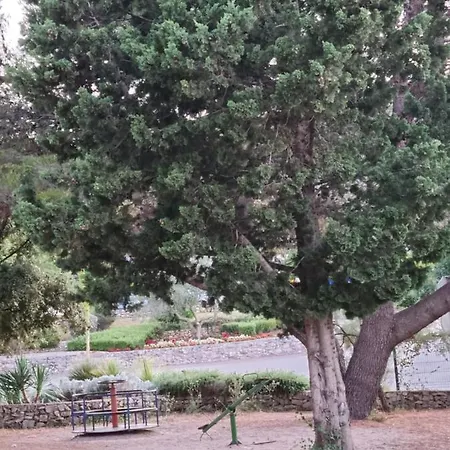 Campsite Premium Mobile Zen Spot 277 *
